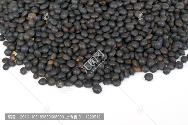 黑扁豆堆白色隔離