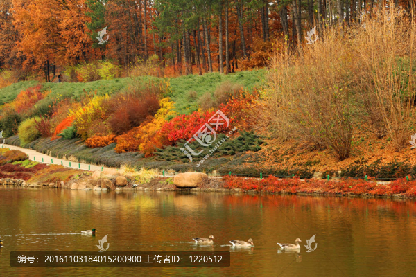 七彩秋色湖