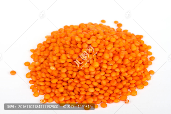 原紅扁豆堆孤立在白色背景