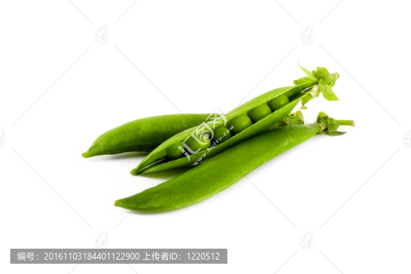 青豆莢