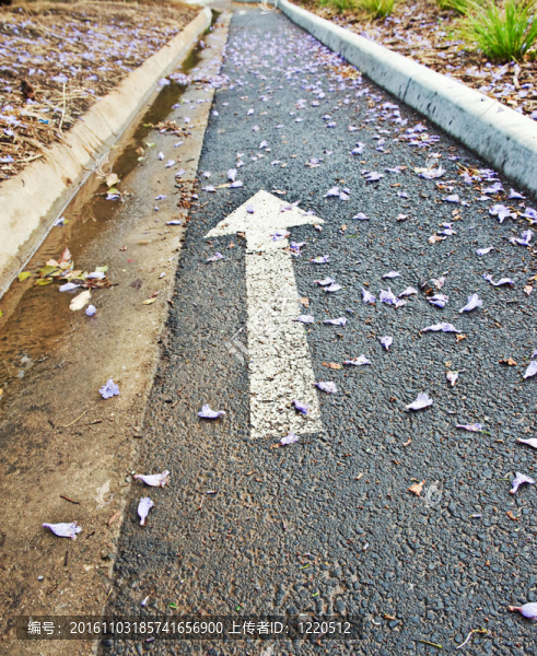 自行車車道