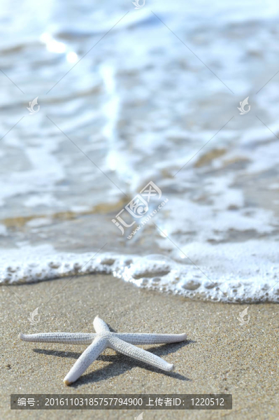 星砂