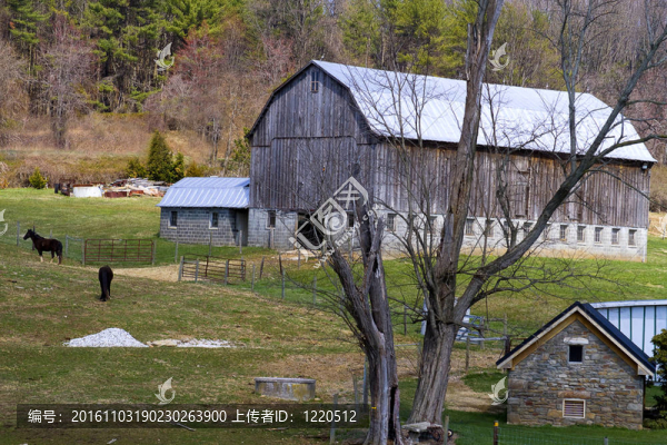 馬和Barn