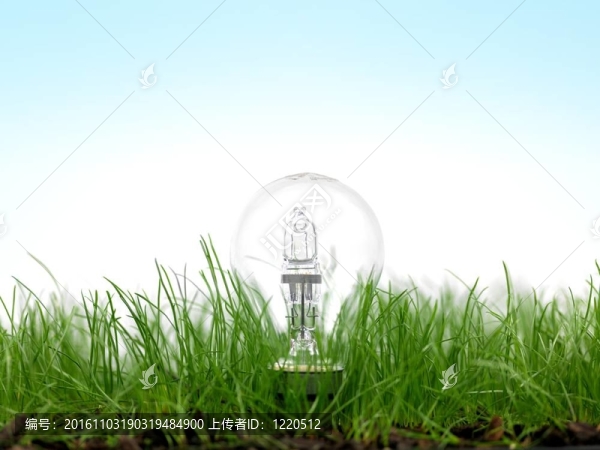 綠色的草