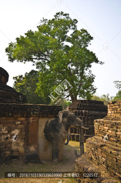玉佛寺