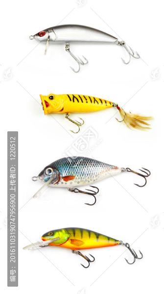 魚餌