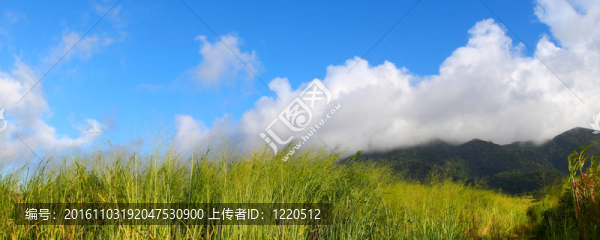 圣基茨島山liamuiga