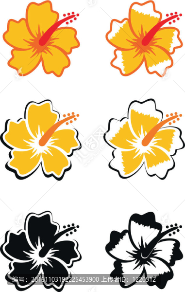 熱帶花卉，