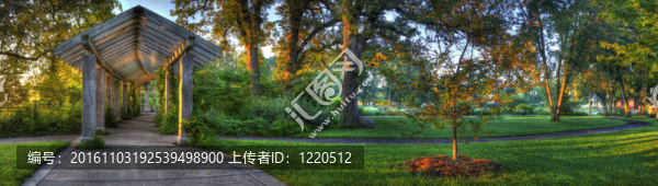 公園里的格子