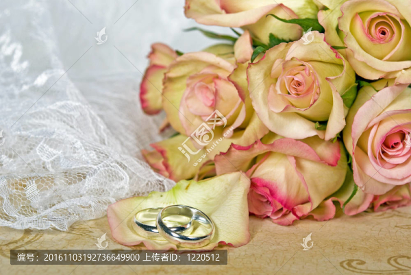 銀的婚禮樂(lè)隊(duì)