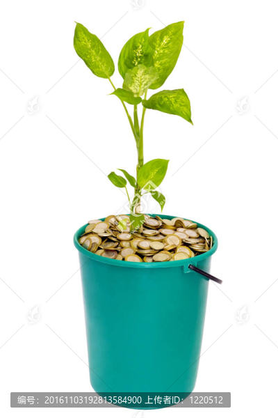 年輕的工廠在一桶硬幣