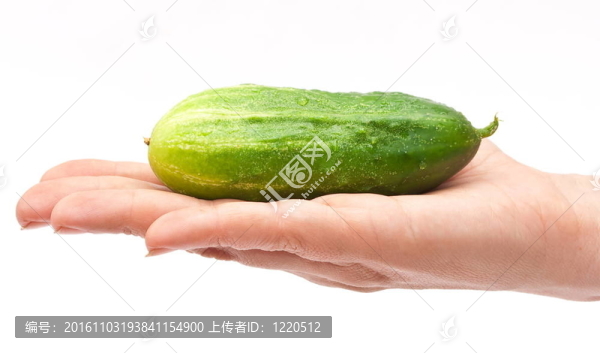 黃瓜在手