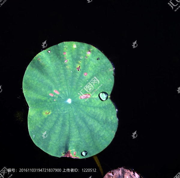 水滴