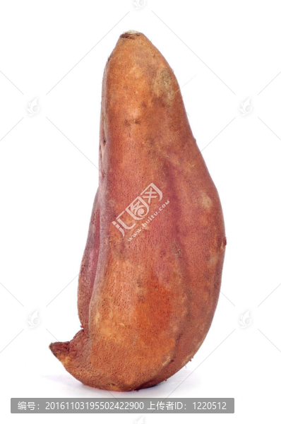 甘薯