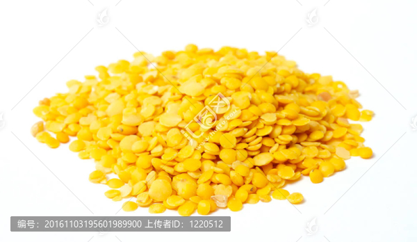 黃扁豆孤立在白色背景。微距鏡頭
