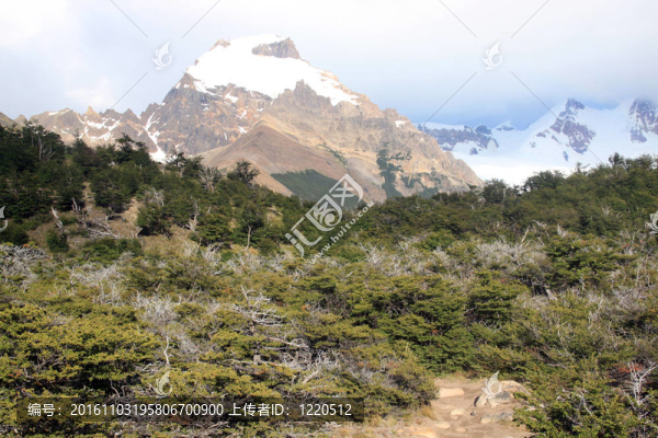 森林和山