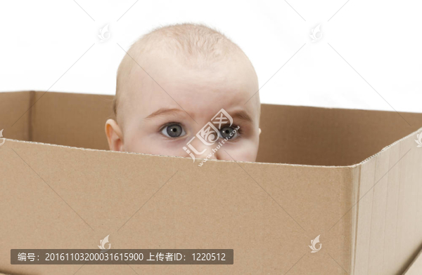 紙箱里的小孩子