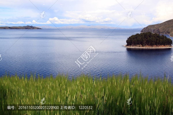 小麥和Titicaca