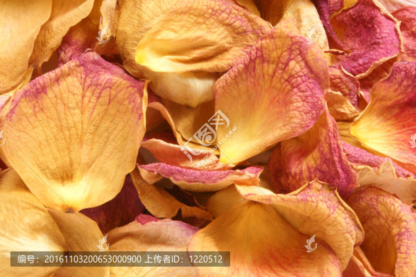 玫瑰干花瓣