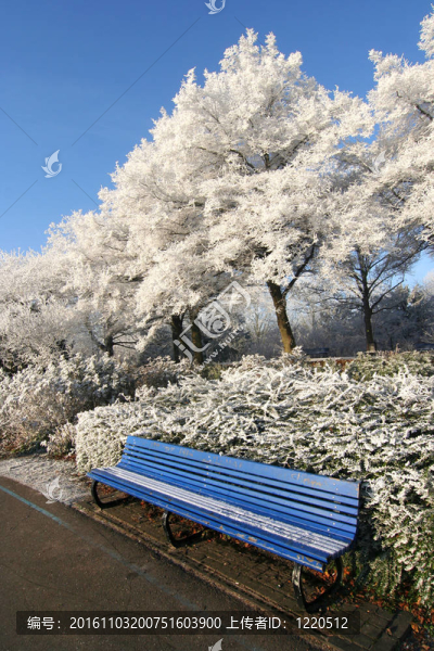 冬天公園里的長凳