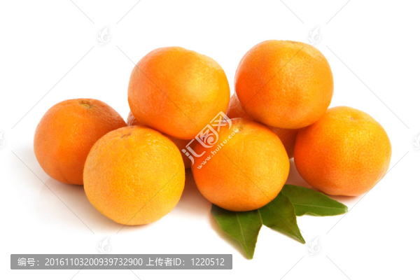 橘子收成時(shí)