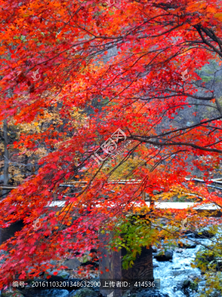 大石湖風(fēng)景