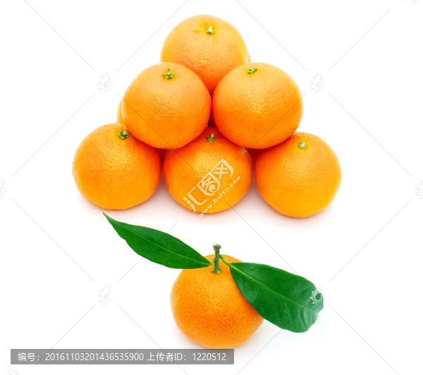 Tangerine夜店