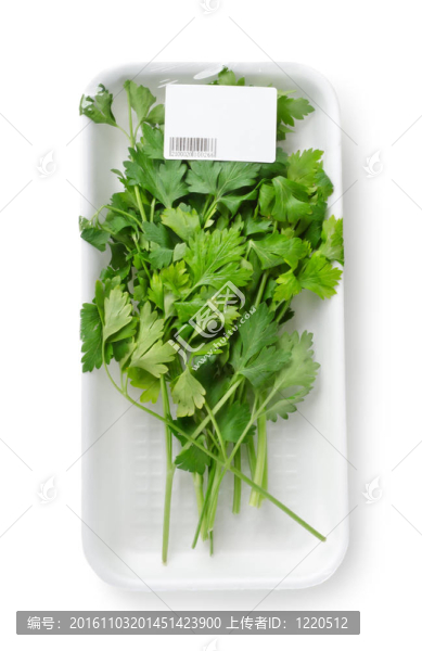 用歐芹