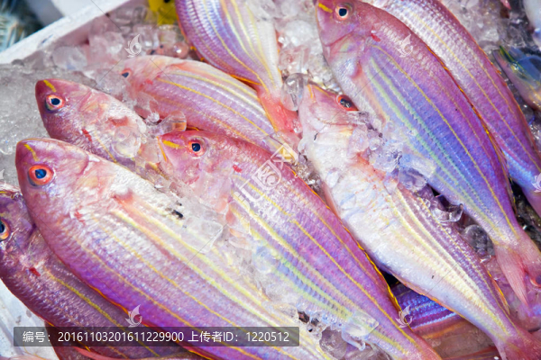 市場上冰上的新鮮魚
