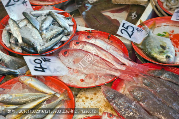 市場上的新鮮魚