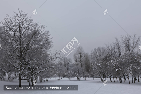 冬季景觀