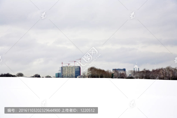 與樹木在冬天的雪壩