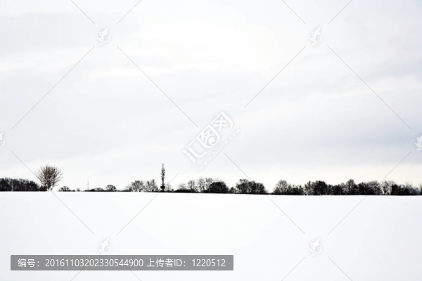與樹木在冬天的雪壩
