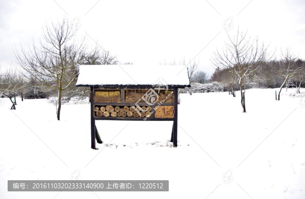 與樹木在冬天的雪壩
