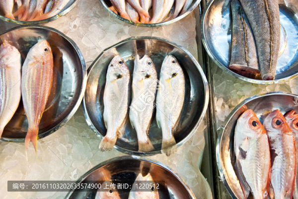 亞洲魚(yú)類市場(chǎng)提供全淡水魚(yú)