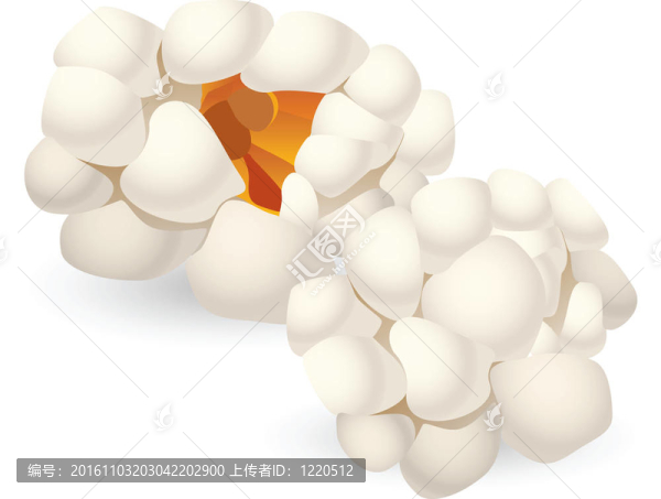 兩塊單獨(dú)的爆米花