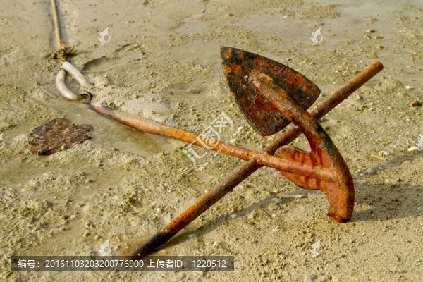 船在沙灘上錨