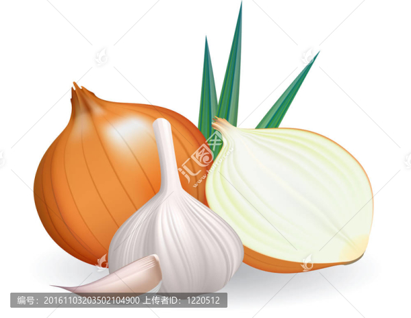 洋蔥和大蒜。