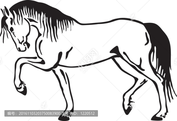 馬圖