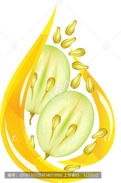 葡萄籽油。程式化的下降。