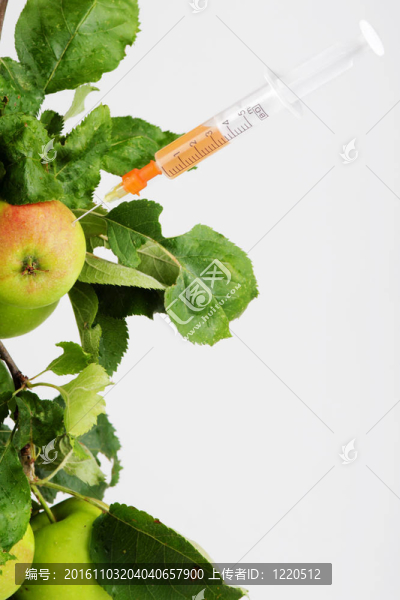 蘋果樹枝的注射器
