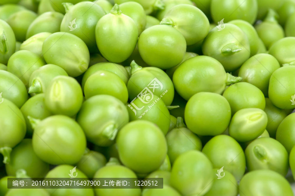 豌豆莢