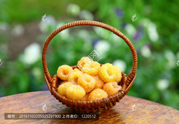 花園里黃莓籃
