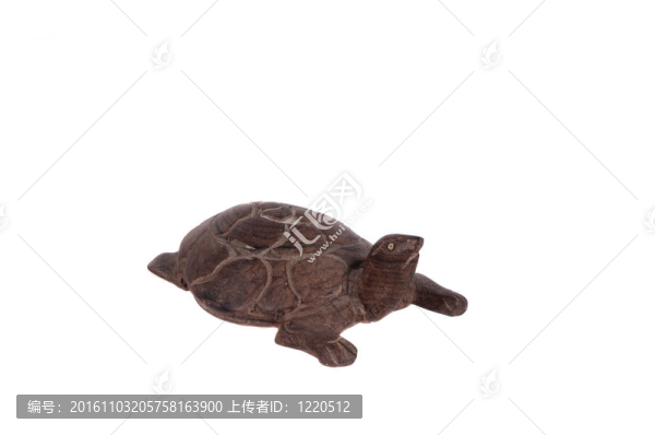 烏龜
