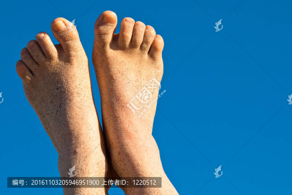 桑迪的腳