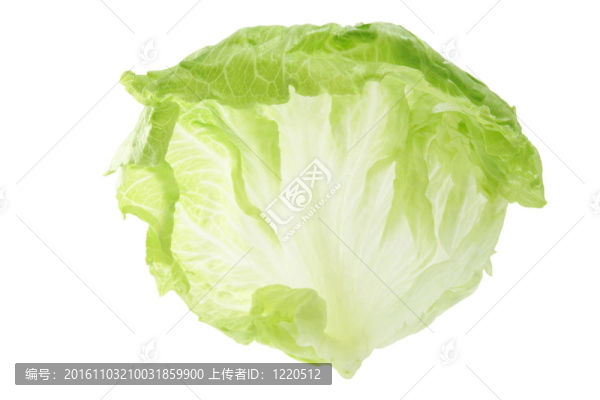 生菜