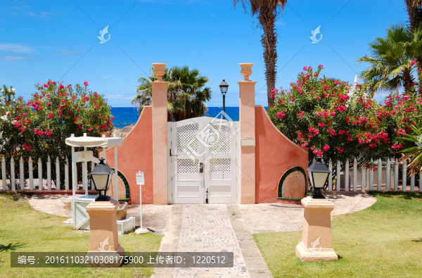 特內里費島；豪華酒店；海灘；