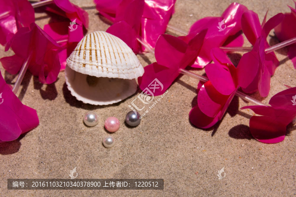貝殼珍珠和花環(huán)；
