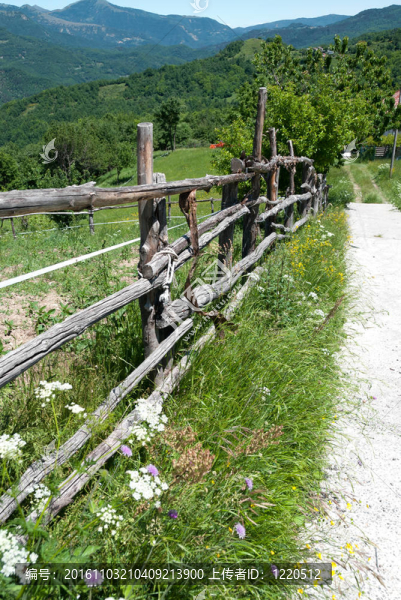 春路