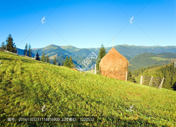 夏山郊外